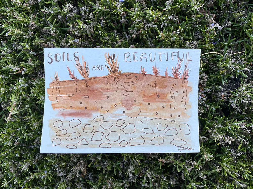 Soils Are Beautiful