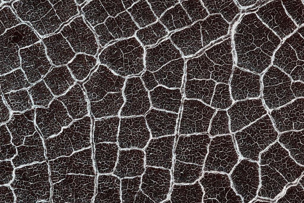 Mars polygons.jpg