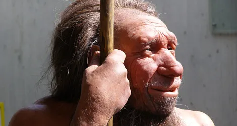 A reconstruction of a Neanderthal, which was named after Germany’s Neander Valley