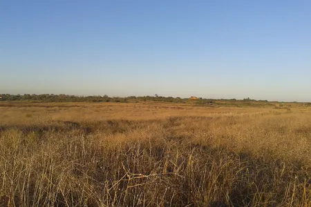 Today, the figurative field of battle has become a literal one: Israel's Sharon Plain.