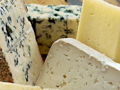 New evidence indicates cheese was invented as far back as 5000 BCE, although ancient cheeses wouldn’t have been as varied or refined as the cheeses we have today.