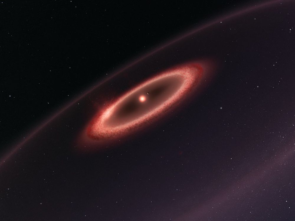 Proxima Centauri Dust