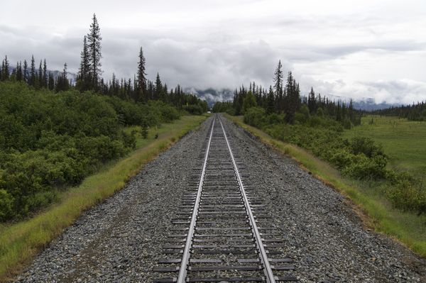 Alaska Railroad track on the way to Denali thumbnail