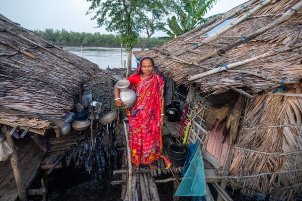 Portrait of Survival thumbnail