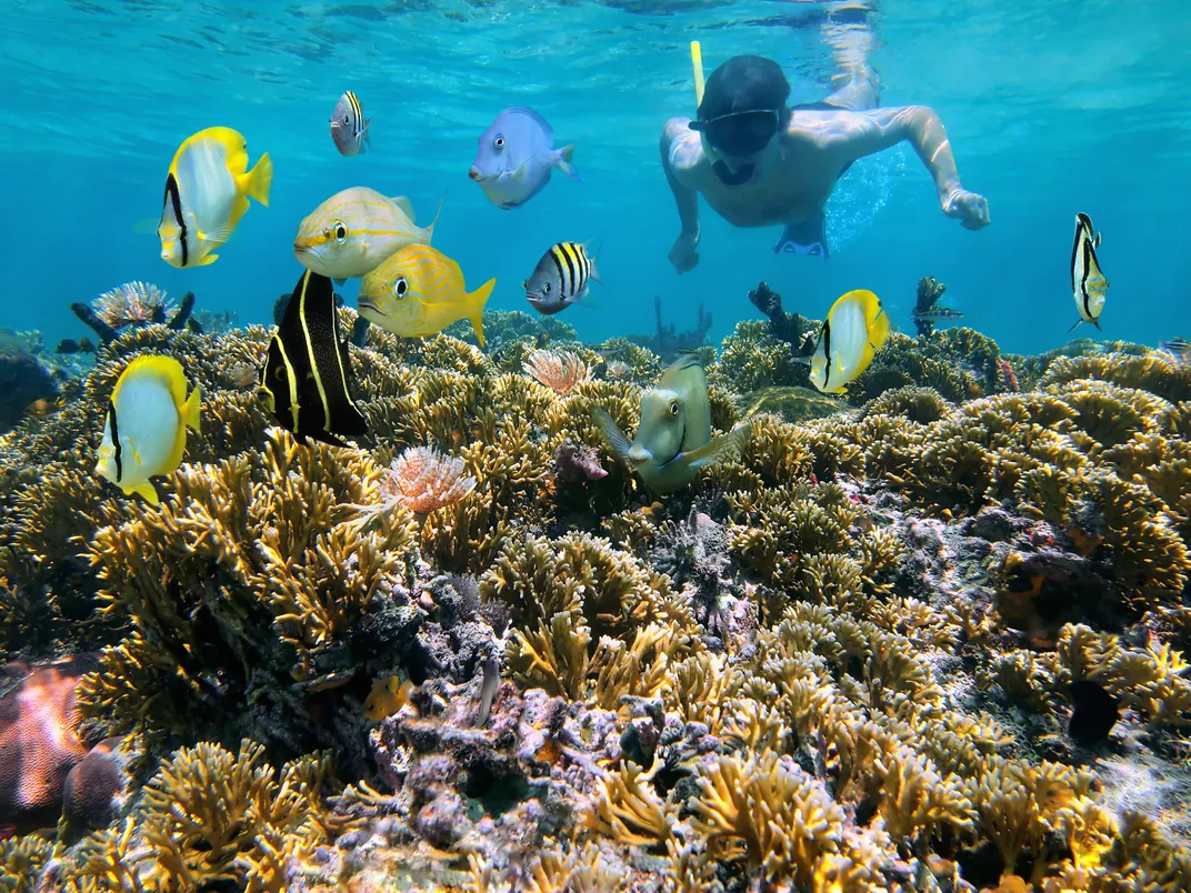 Snorkeling along the coast