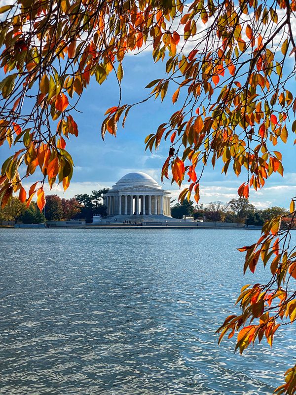 Thomas Jefferson Memorial in the fall thumbnail