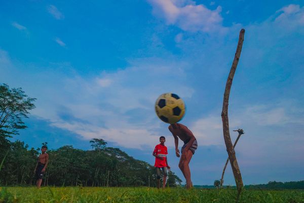 Lush Dreams of Early Days thumbnail