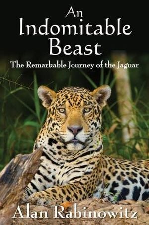 Preview thumbnail for video 'An Indomitable Beast: The Remarkable Journey of the Jaguar