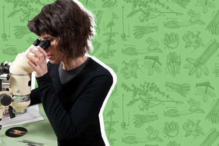 Using an artist's tools and the skills of a scientist, Tangerini makes “art in the service of science.”