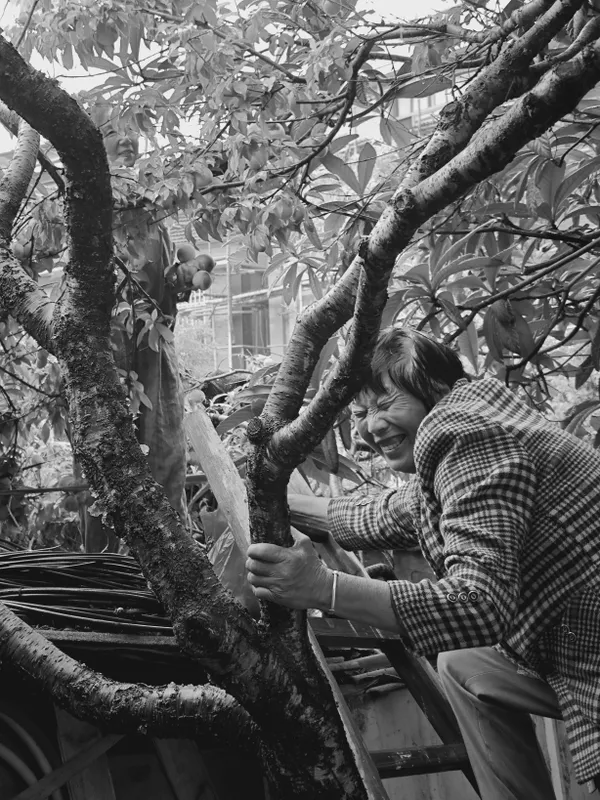 Picking Peaches thumbnail