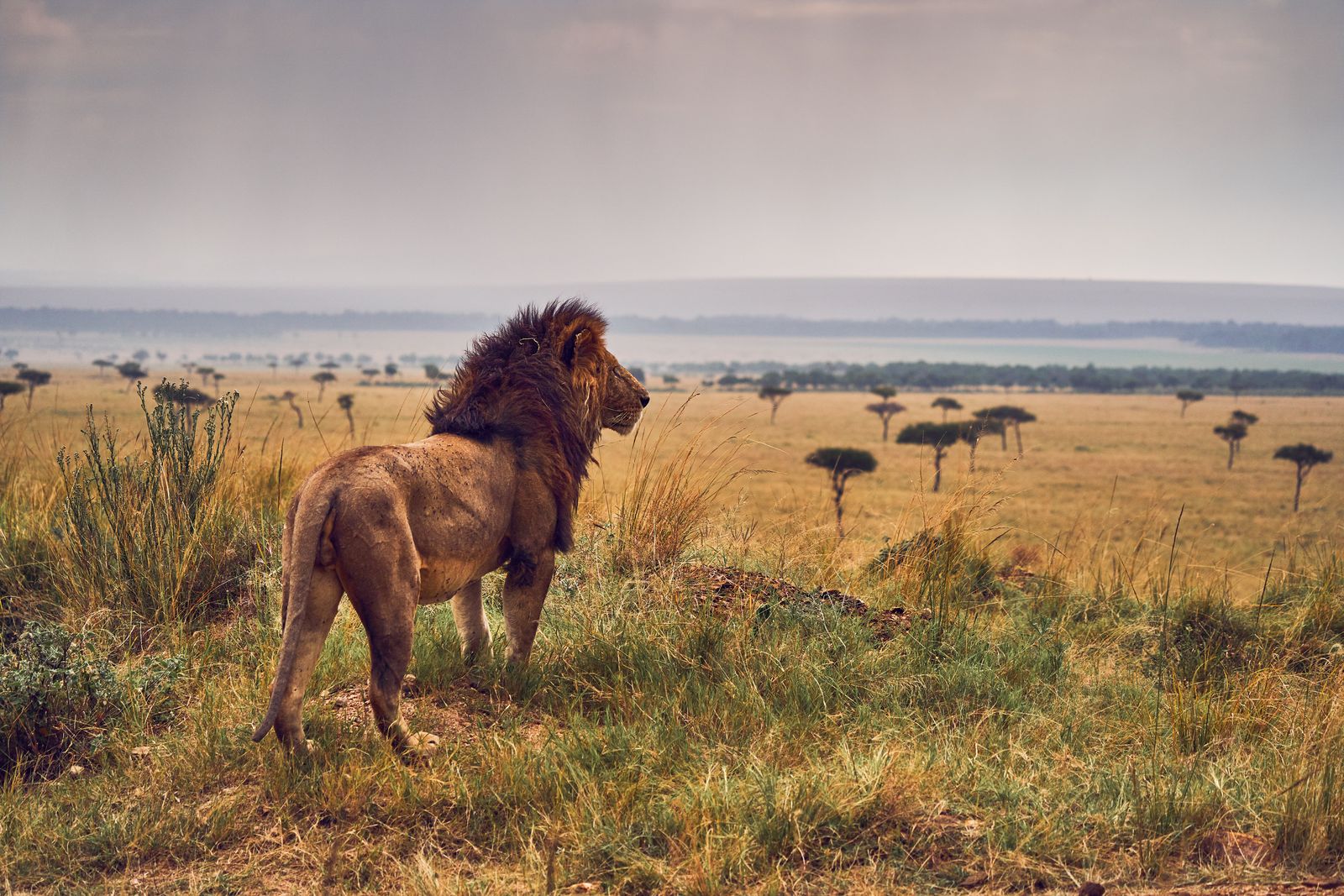 These 15 Wonderful Photographs of Kenya’s World-Class Wildlife Will Have You Booking a Flight to the Savanna