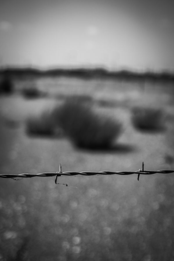 Barbed Wire around a field. thumbnail