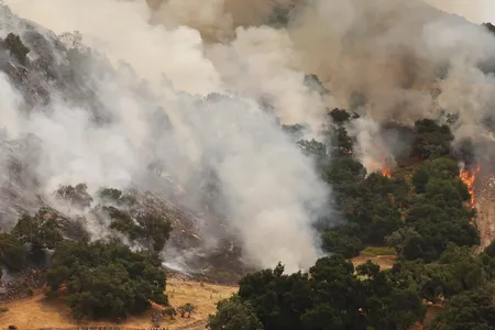 Firefighters&nbsp;work to contain the Lake Fire burning in Los Padres National Forest in California. More than 3,900 fires have spread across California this year.