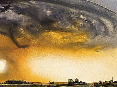 Alexis Rockman Hurrican and Sun