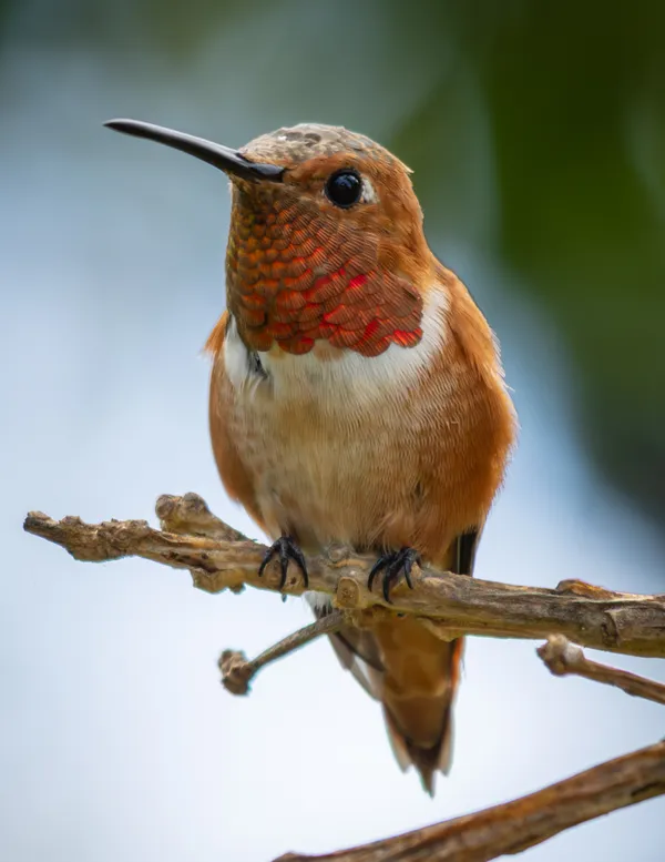 Up Close and Personal thumbnail