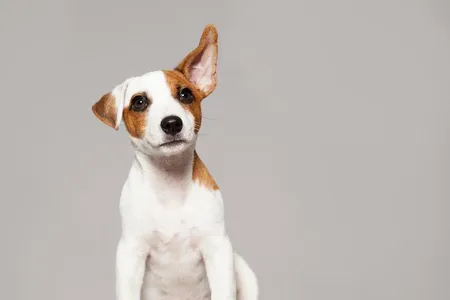 The only one who really understands me.