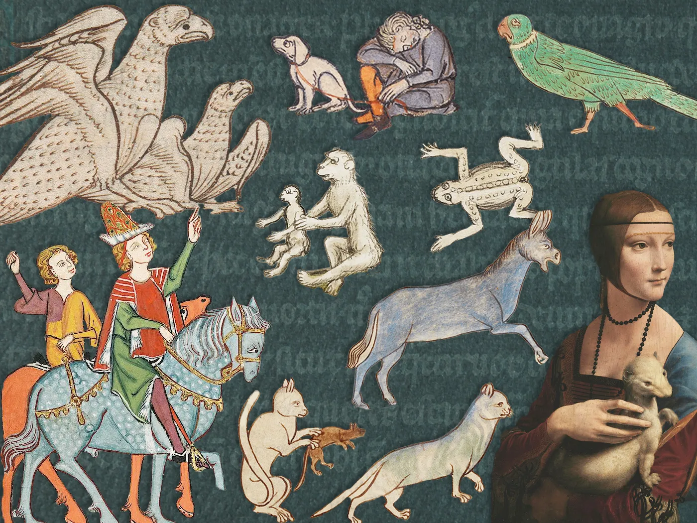 Illustration of medieval animals, including horses, an ermine, cats and mice, a dog, a parrot and hawks