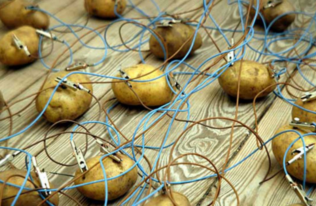 alder procent vigtig A Potato Battery Can Light Up a Room For Over a Month | Innovation|  Smithsonian Magazine