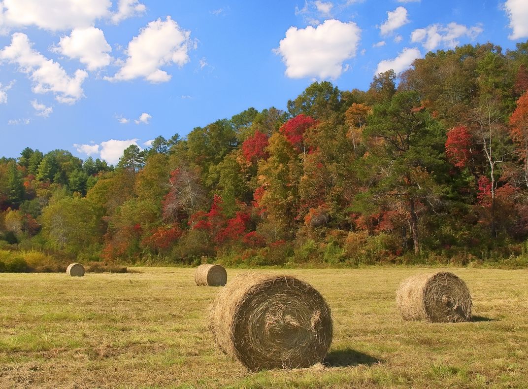While traveling through North Carolina, I saw this hayfield with the