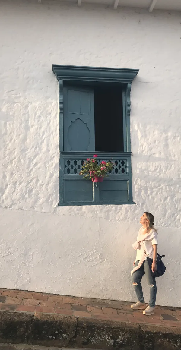 The Charm of the Window thumbnail
