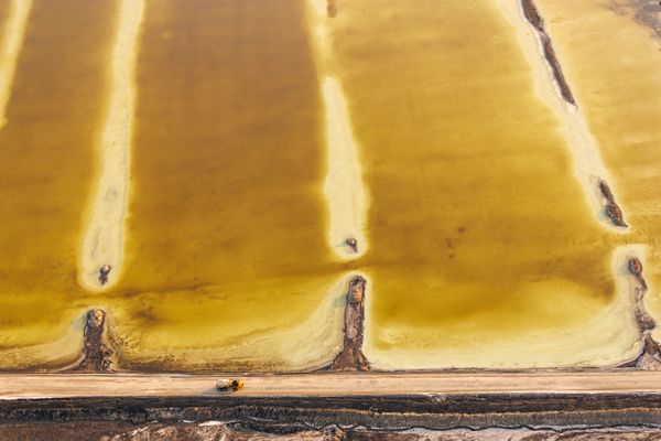 Brine Traces thumbnail