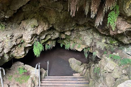 Maidenhair ferns frame the cavernous entrance to a 350-foot-long cave that opens in the backyard of an Auckland suburban home.
