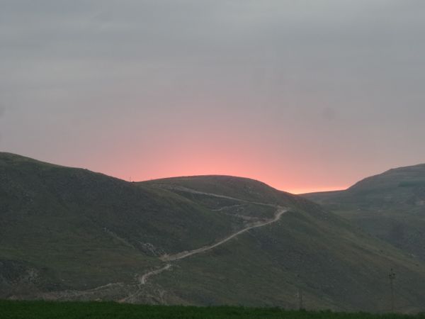 Pinky Dusk thumbnail