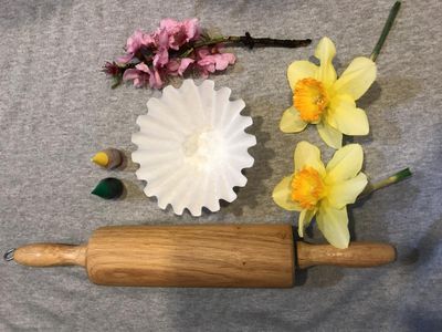 Gather your supplies for flower exploration and natural dye lab. All photos by Gloria Kenyon.