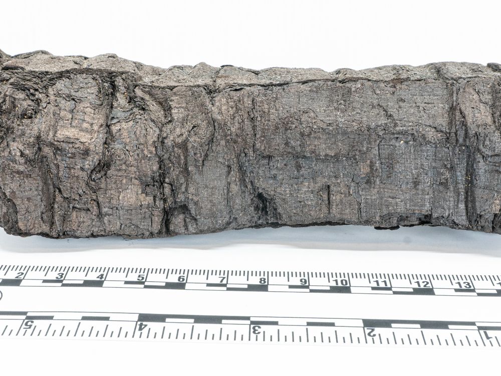 Charred scroll in front of measuring stick
