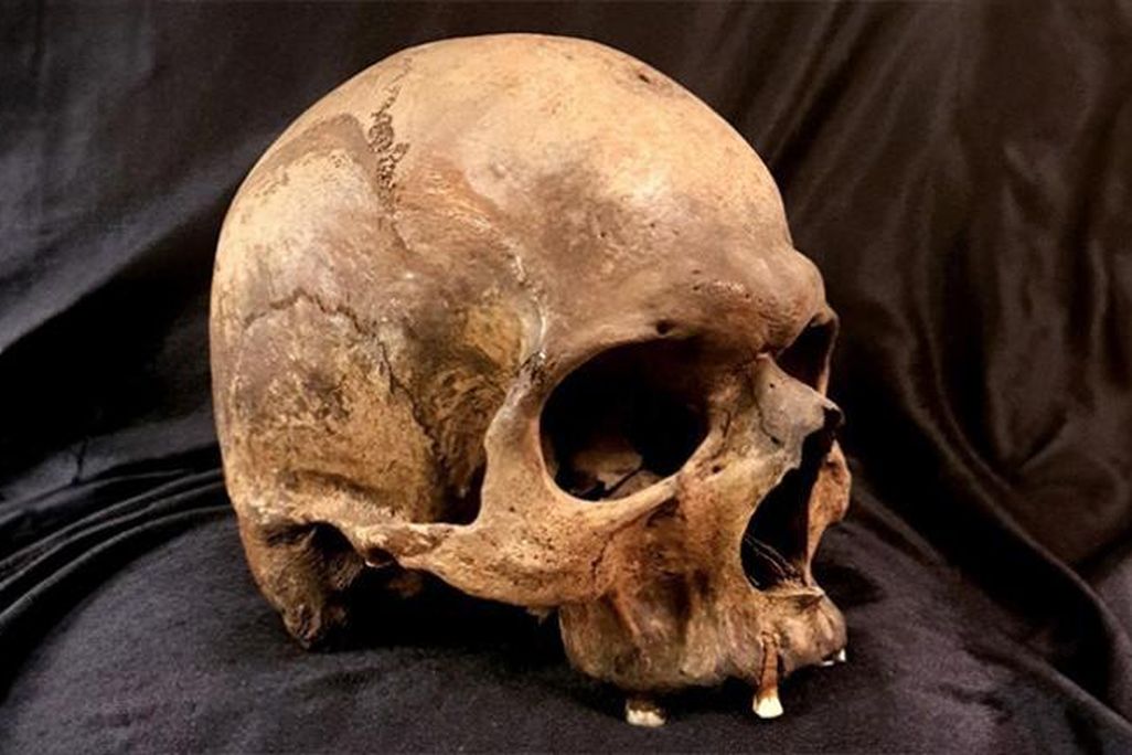 a skull on cloth