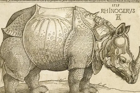 Because of Portugal's explorations, Europeans were also made aware of exotic animals ("The Rhinoceros," by Albrecht Dürer, 1515).