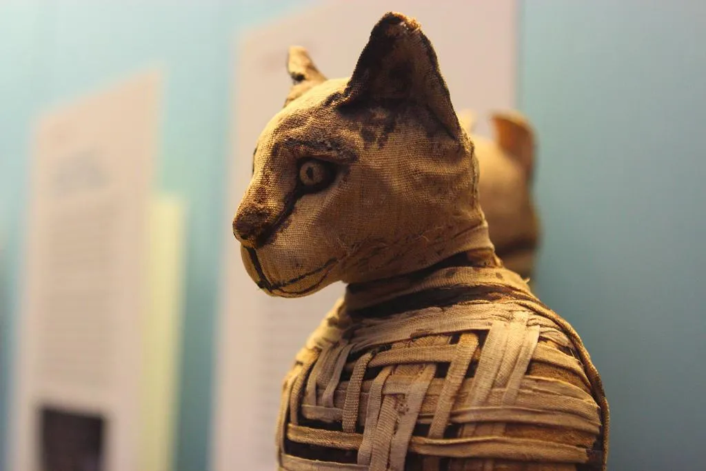 Cat Mummy