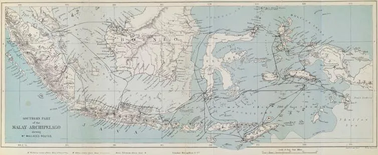 An 1874 map of the Malay Archipelago, tracing Wallace’s travels.  Trustees of the Natural History Museum, 2018,