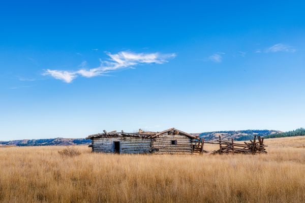 Cow Camp on the Missouri thumbnail