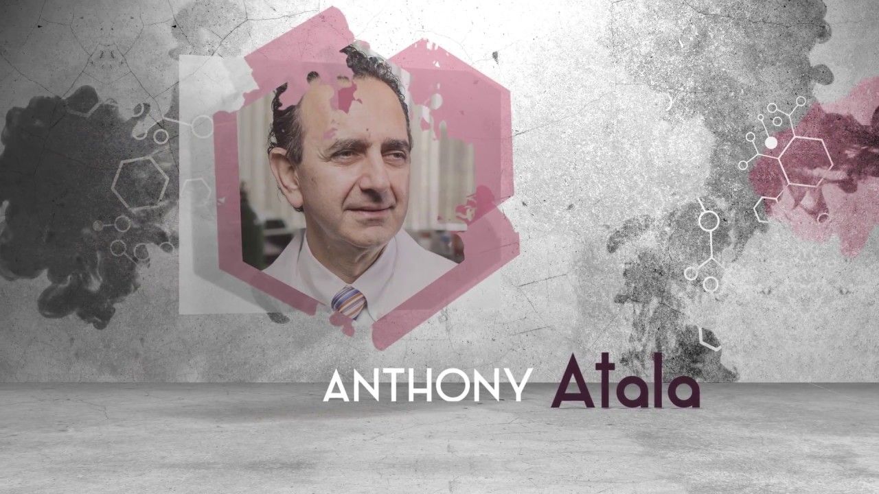 Preview thumbnail for Need a New Organ? Surgeon Anthony Atala Sees a Future Where You Can Simply Print It Out