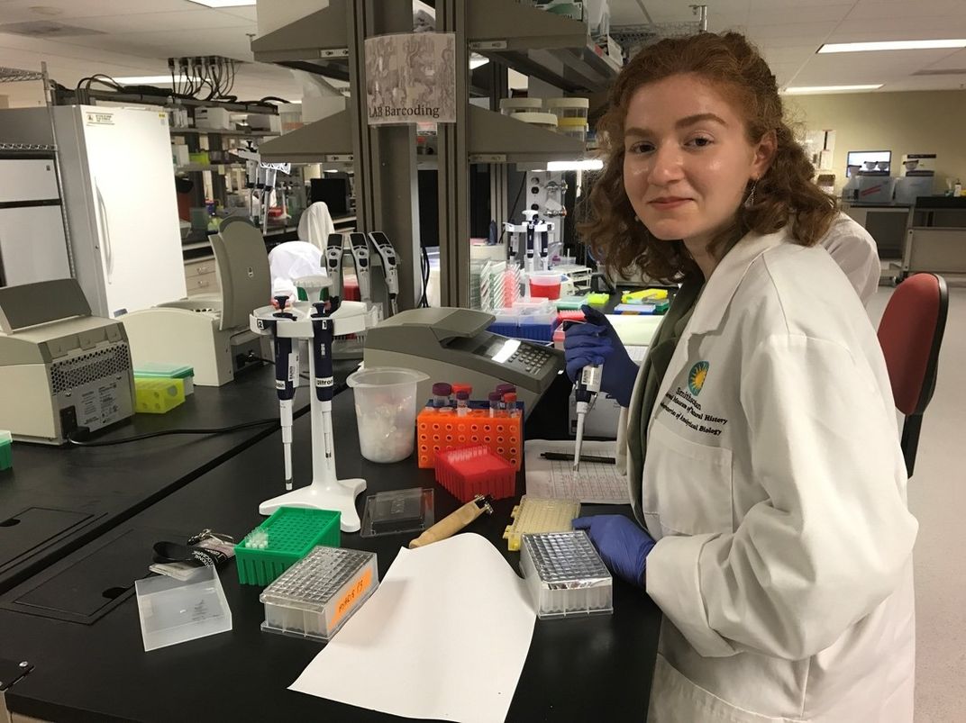 A scientist at a lab bench.