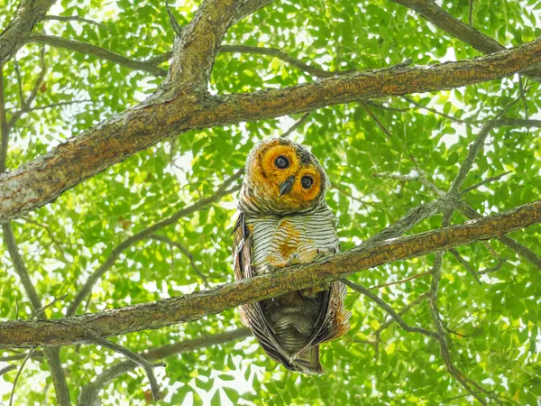 Who are you？II thumbnail