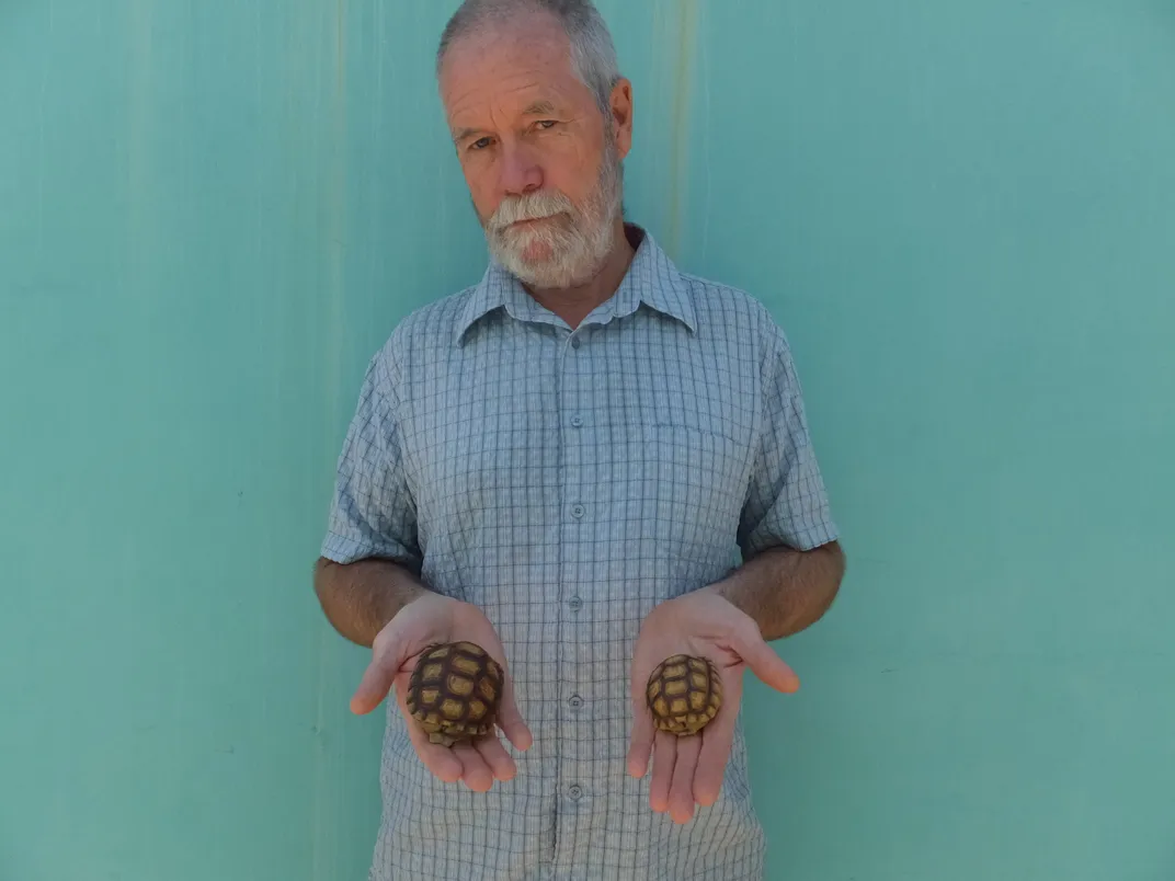 To Save Desert Tortoises, Make Conservation a Real-Life Video Game