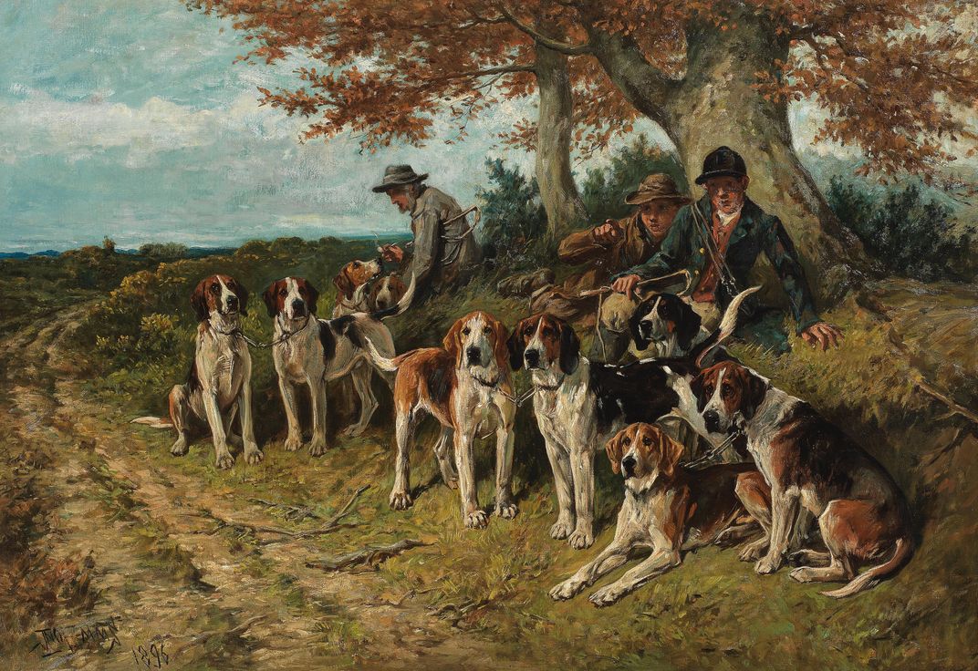 The New Forest Buckhounds