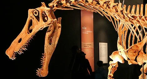 A reconstruction of Irritator