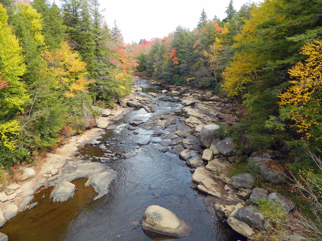 Babbling brooke in the fall | Smithsonian Photo Contest | Smithsonian ...