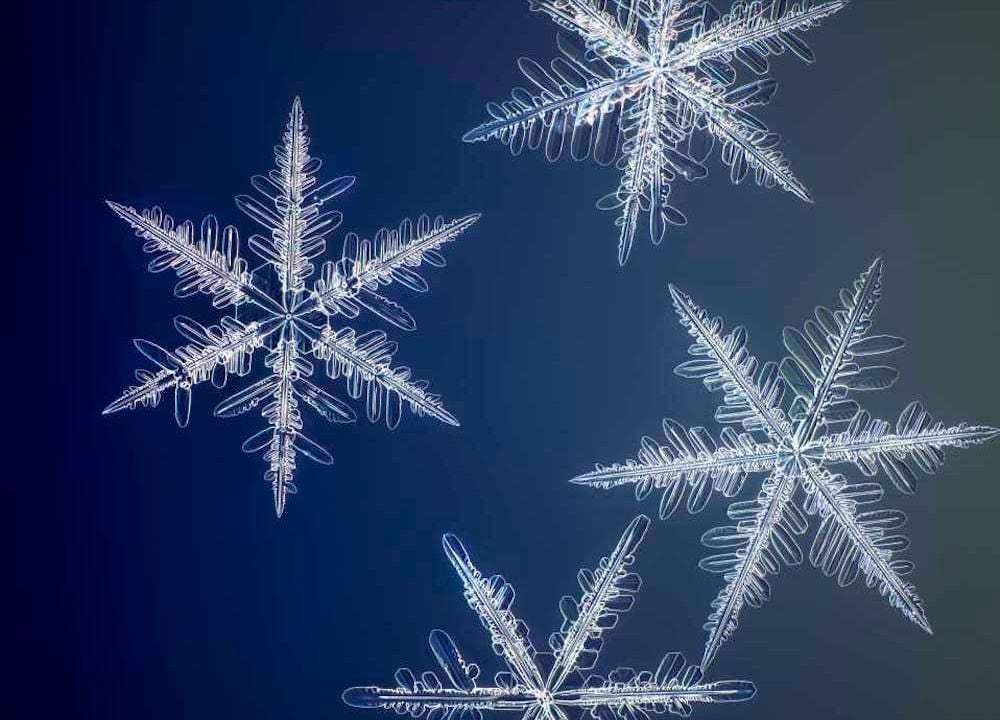 These Are the Highest-Resolution Photos Ever Taken of Snowflakes