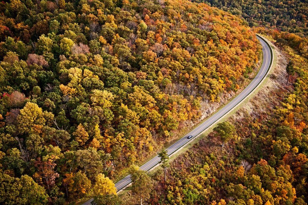 Autumn in the Blue Ridge Mountains, Virginia