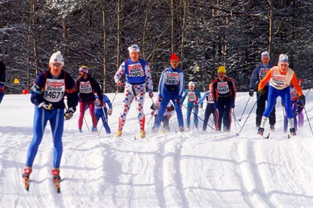 Vasaloppet skiers