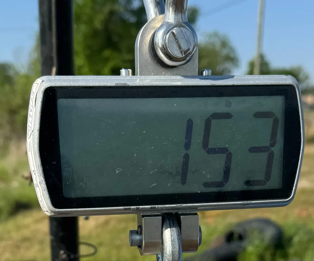 digital scale that says 153