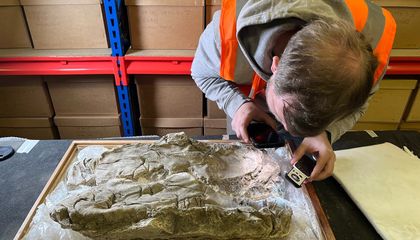 In the Ancient World, This Pigment Was Worth More Than Gold. Archaeologists Discovered It Buried With Babies in Roman Coffins