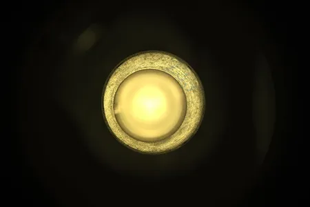 Pictured is an image of tube No. 233. Perseverance sent this image to Earth and is one of the pieces of data researchers received showing that core sample was not collected. 


