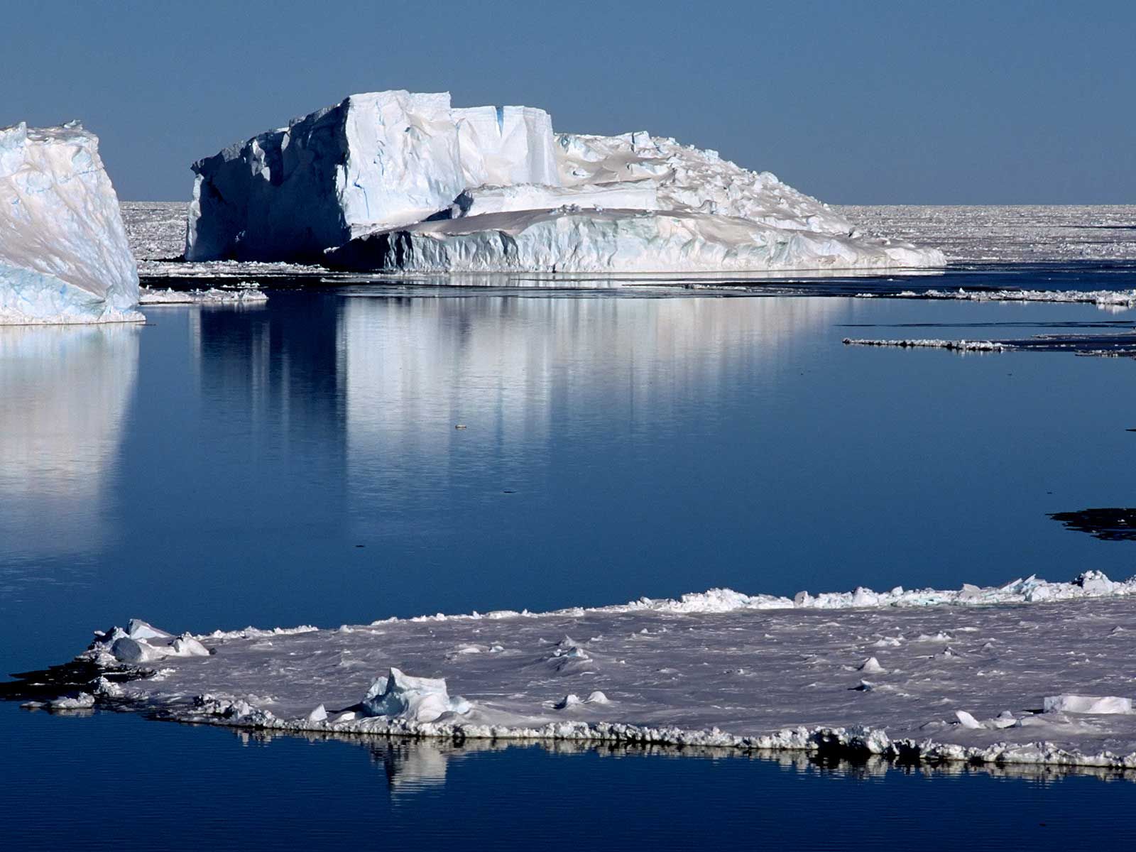 Полуостров южного океана. Море Уэдделла. Уэдделла Антарктида. Море Уэдделла самое чистое море. Антарктида 2022.