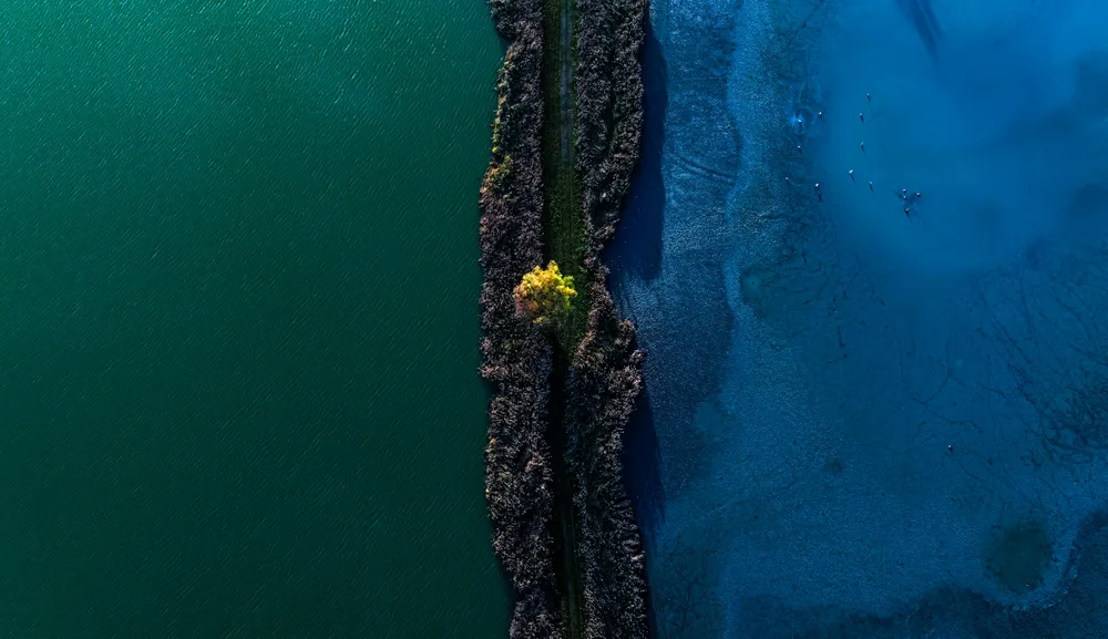At the center of the composition is a lone tree, its golden autumn foliage shining between shades of blue and green. To the right of the tree is a saline lake, its dried-up bed shimmering in deep blue tones, its veined patterns adding a special texture to the landscape. To the left is a green fish pond, its vibrant hues creating a sharp contrast with the saline lake. The dividing path on which the tree stands harmoniously connects the two different worlds, capturing the duality and beauty of nature.