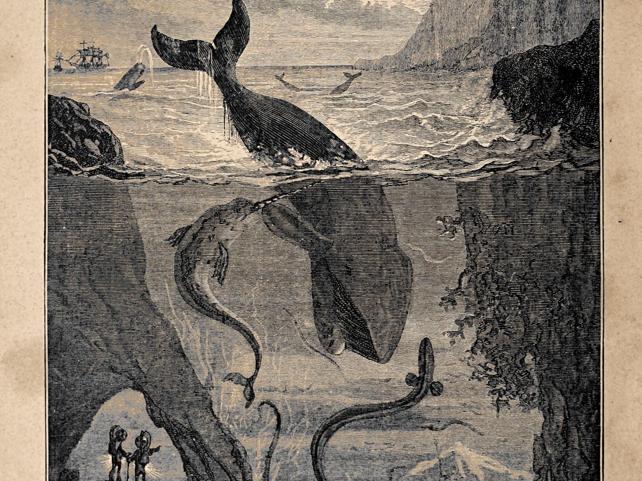 Excerpt from 20,000 Leagues Under the Sea
